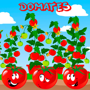 Domates