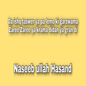 Naseeb ullah Hasand - Da ishq taswer ya pa lemo ki garzwama Zaree Zaree ya krama didan ya gran di