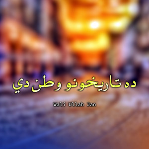 Wali Ullah Jan - دتاريخونه وړل نشان نه