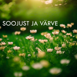 Soojust ja värve by Roderic H, Liana Zeigo