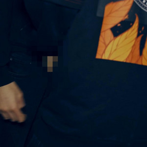 Manchot - Cane sciolto