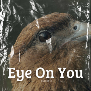 Eye On You by Kromatik