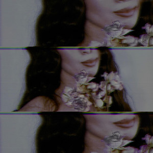 I Won't by Laila Solace