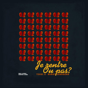 Bobby Surround cover