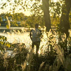 When I Leave the World by Jeff Thomas