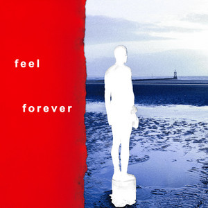 Feel Forever by Disorder