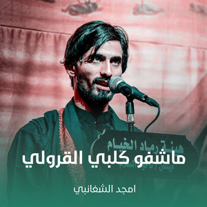 امجد الشغانبي - ماشفو كلبي القرولي