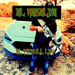 el Pitbull LDK - El Rebelde