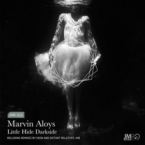 Обкладинка: Little Hide Darkside - HDSN Remix