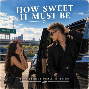 How Sweet It Must Be by The Listening Turtle, Chiedi