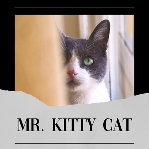 Mr. Kitty Cat album