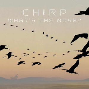 What's The Rush? by Chirp