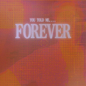 You Told Me.... Forever by Nezto