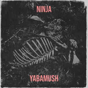 Ninja by YABAMUSH