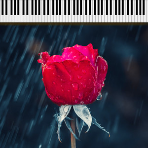Rain piano lullaby, ASMR Rain sound and white noise Lullaby leads to deep sleep Sleeping white noise Classical lullaby 5
