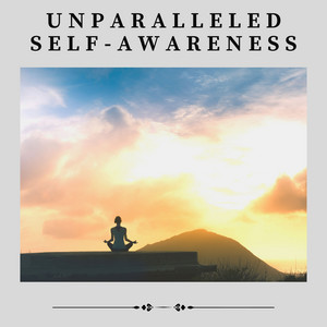 Unparalleled Self-awareness album