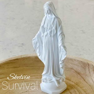 Survival by Skelvin