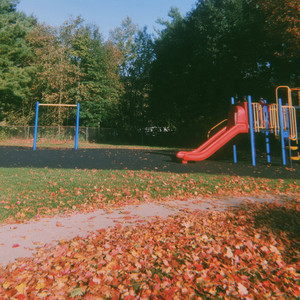 colored leaves on the playground by ecopunk, codsfather