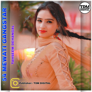 54 MEWATI GANGSTAR by Tahseem Dehangal