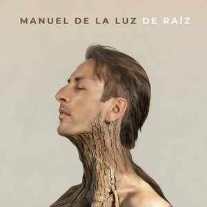 Cómplices (Bulería) by Manuel de La Luz, Rafael Riqueni