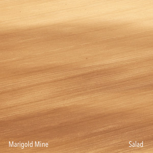 Calm Creatures by Marigold Mine