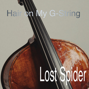 Hair on My G String by Lost Spider