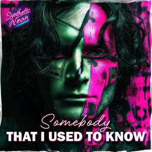 Somebody That I Used To Know by Synthetic Neon