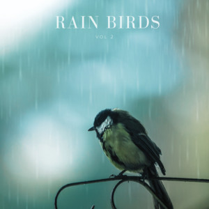 Rain on the roof, birds all around by Rain Birds