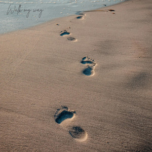 Walk My Way by Montel Story