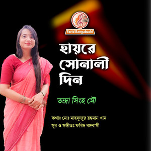 হায়রে সোনালী দিন