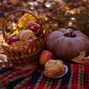 A Picnic On a Fine Day