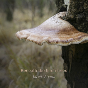 Beneath the birch trees by Jacco Wynia