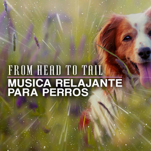 de Abierto by From Head to Tail
