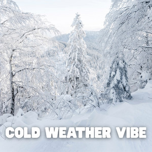 Mystified — cover art by The Teenbeats