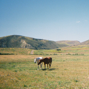 Justin Jay & EVA - Do I Like You Like That?