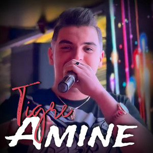 Cheb Amine Tigre - نقطة ضعفي نمشا صافي