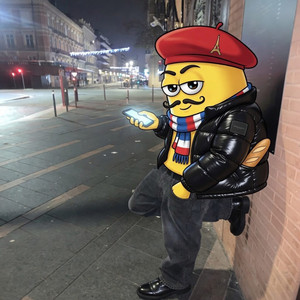 x2 - french minions version