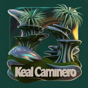 CAMINO SOLITARIO by Keal Caminero