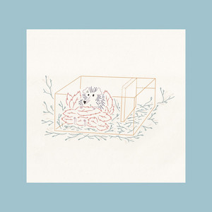 Swimming Through Time by Shuttle