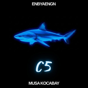C5 by Musa Kocabay, ENBYAENGN