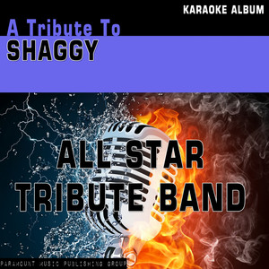 All Star Tribute Band - Strength of a Woman (Karaoke Version) [Originally Performed By Shaggy]