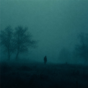 night by mito