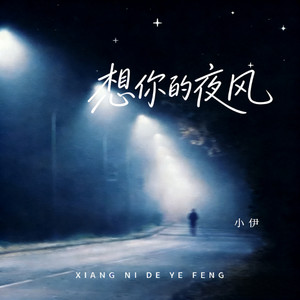 想你的夜风 (动感版)
