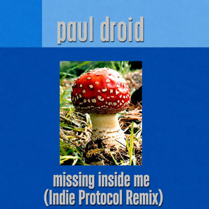 Missing Inside Me (Paul Droid Indie Protocol Remix)