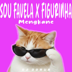 SOU FAVELA X FIGURINHA MENGKANE by DJ DORUS