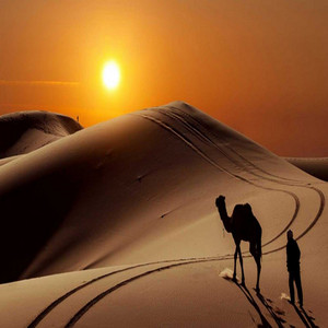 عقب ما كنا نسافر بالبطاقة by بدر الخليفي