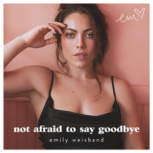 The Way I Say Goodbye by Emily Weisband