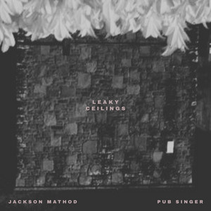 Leaky Ceilings by Jackson Mathod, Pub Singer