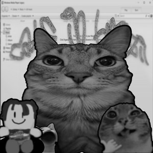 CATS IN BRAZIL by Germeow, valkrtye