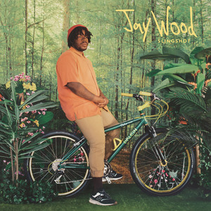 Just Sayin by JayWood, Ami Cheon